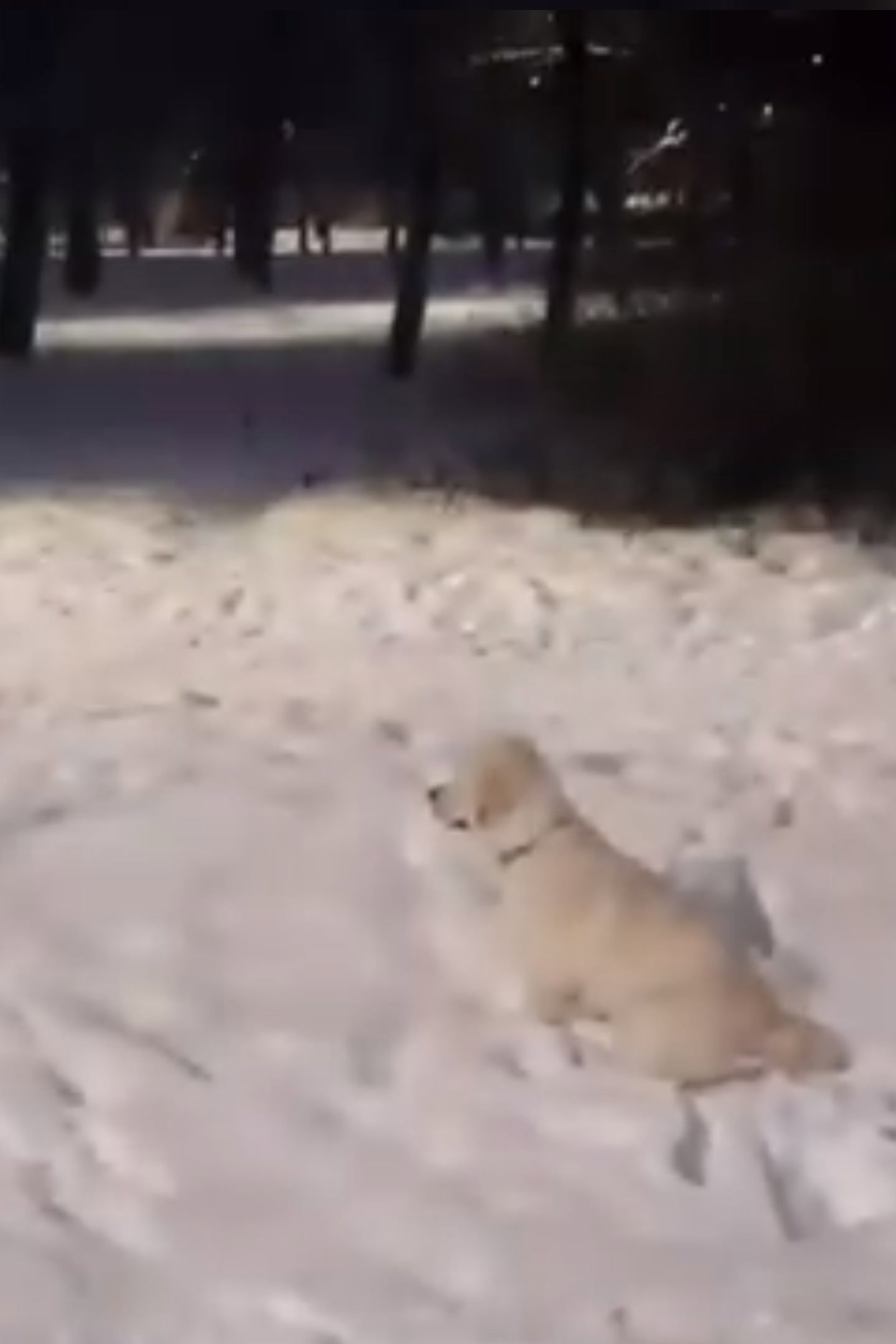 вщп