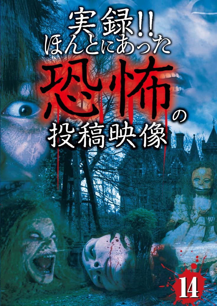 実録! ! ほんとにあった恐怖の投稿映像 14