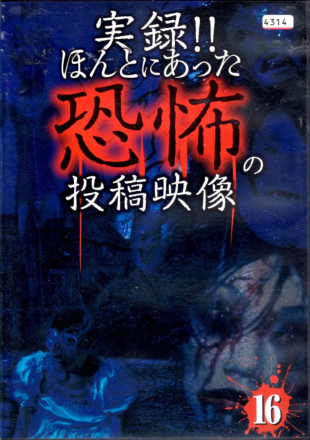 実録ほんとにあった恐怖の投稿映像 16