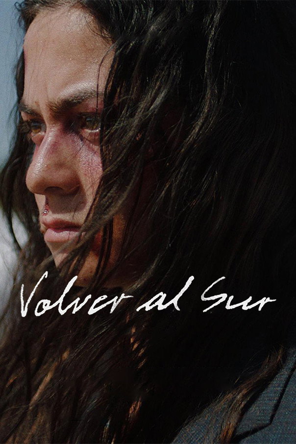 Volver al Sur