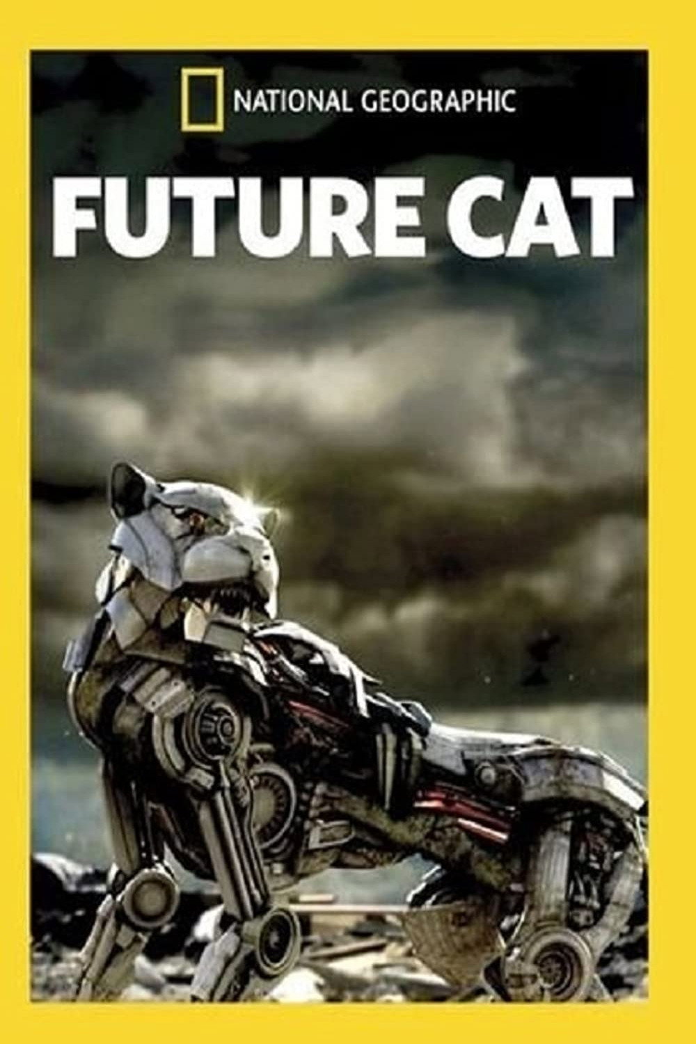 Future Cat