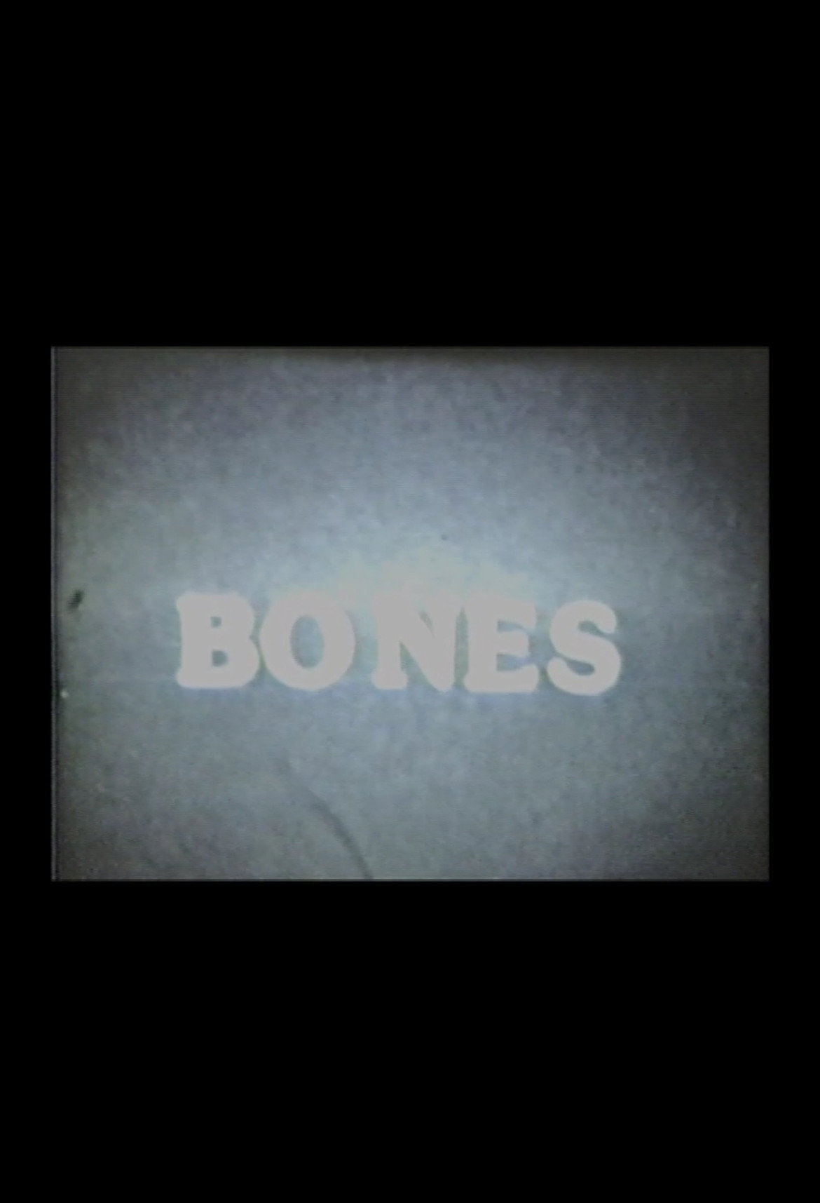 Blood Bones and Spirits