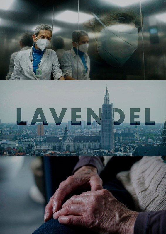 Lavendel