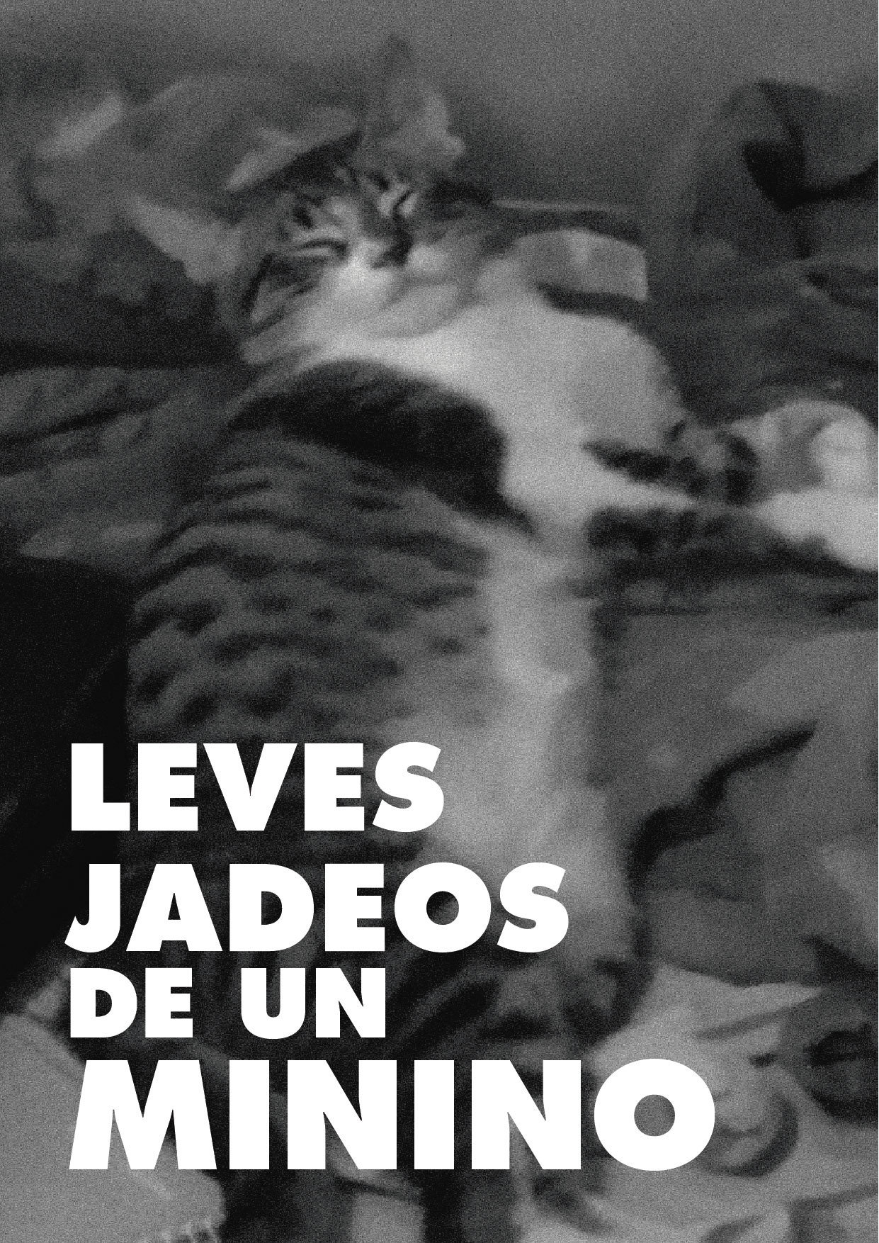 Leves jadeos de un minino