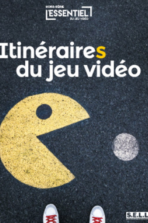 Itinéraires du jeu vidéo