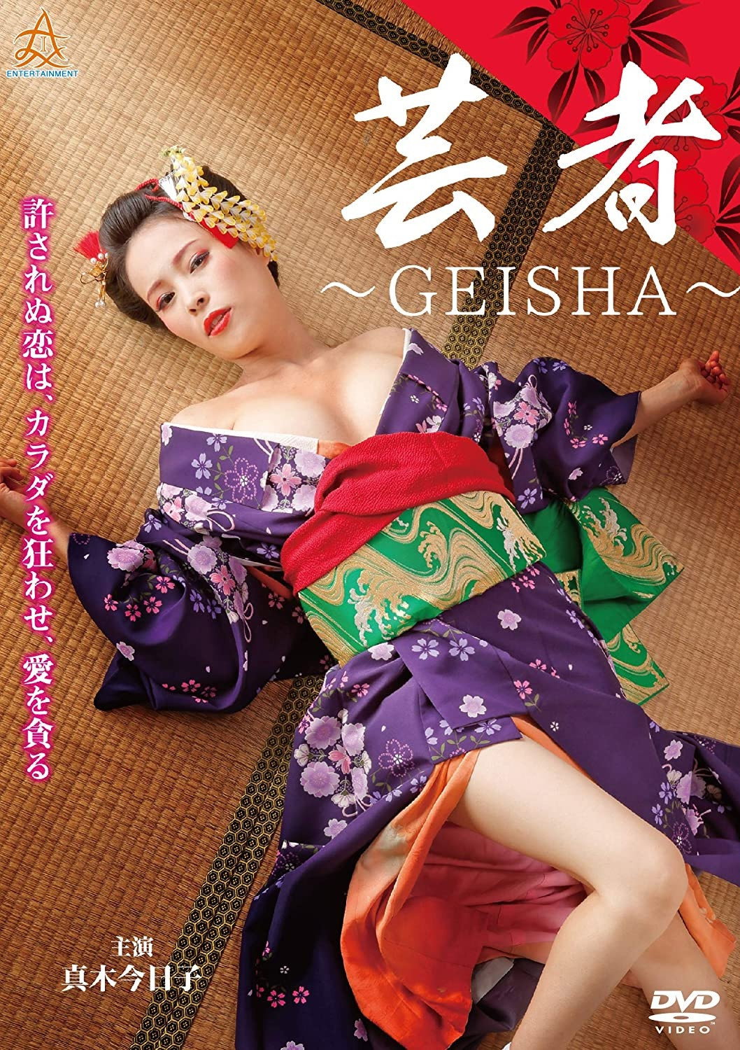芸者　～GEISHA～