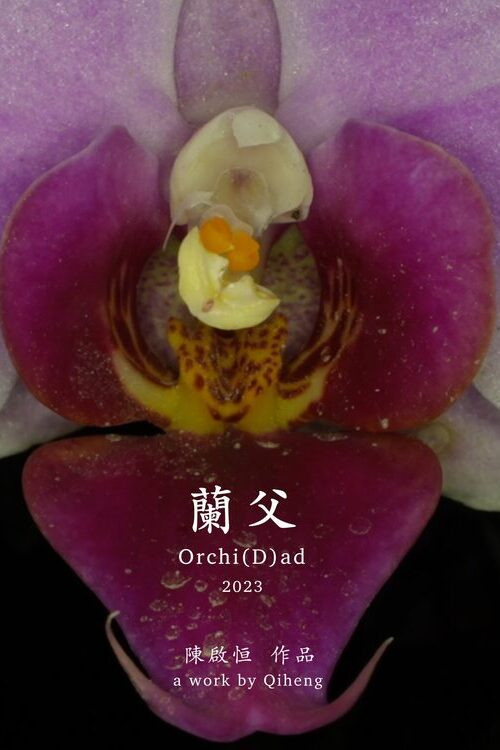 蘭父