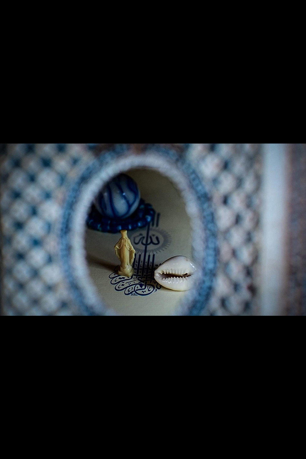 Shell Fables ~ a Curious Cabinet of Beings & Becoming