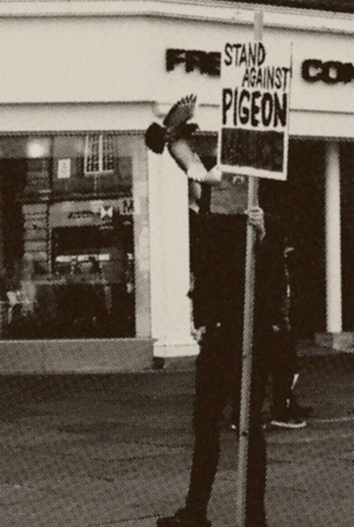 Pigeon Mafia Takes out the Trash