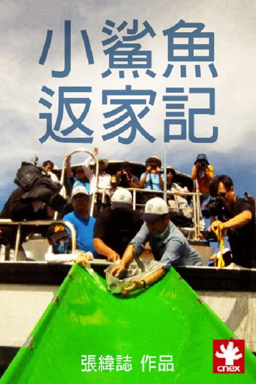 小鯊魚返家記