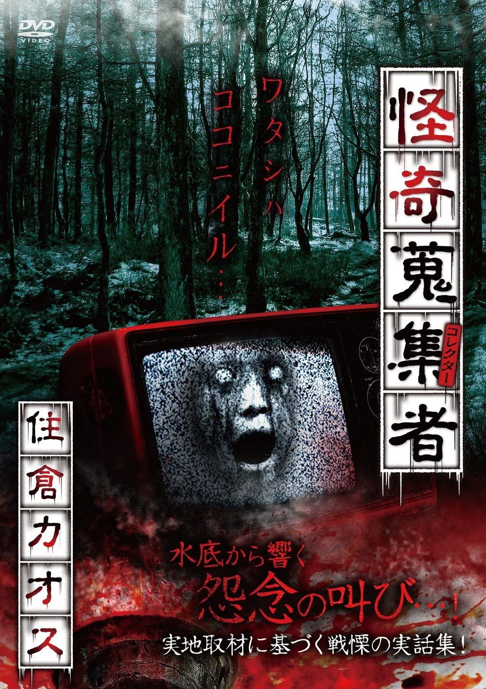 怪奇蒐集者　住倉カオス