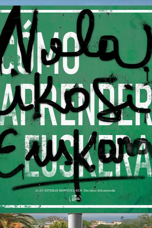 Nola ikasi euskara