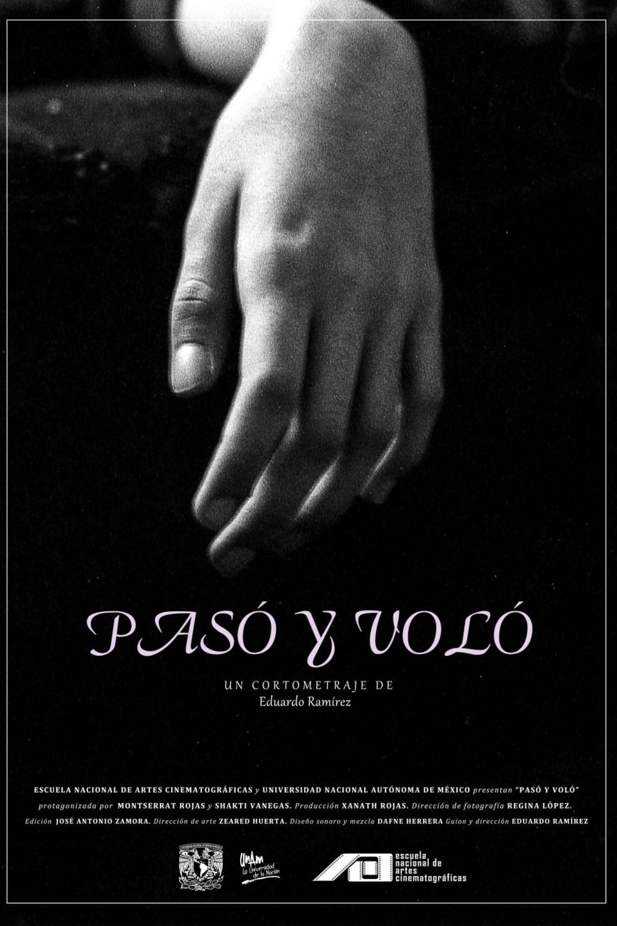 Pasó y voló
