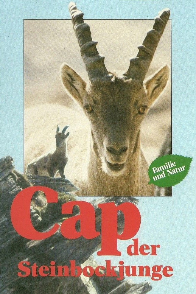 Cap der Steinbockjunge