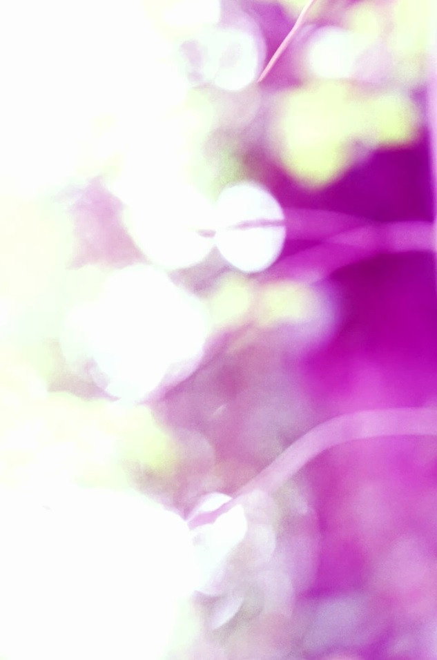 gestures toward Plant Vision