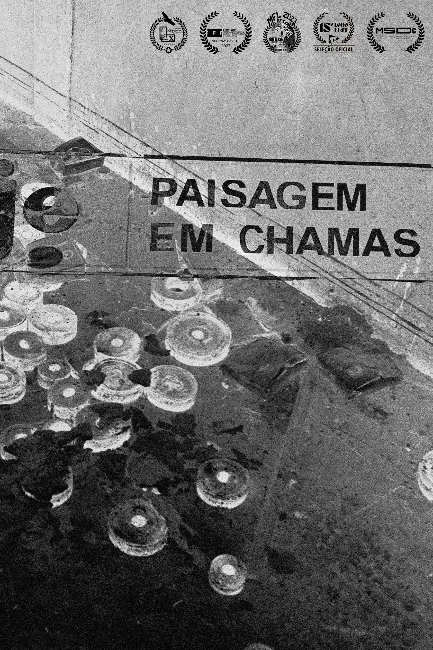 Paisagem em Chamas