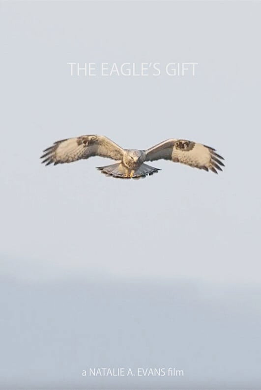 The Eagle's Gift