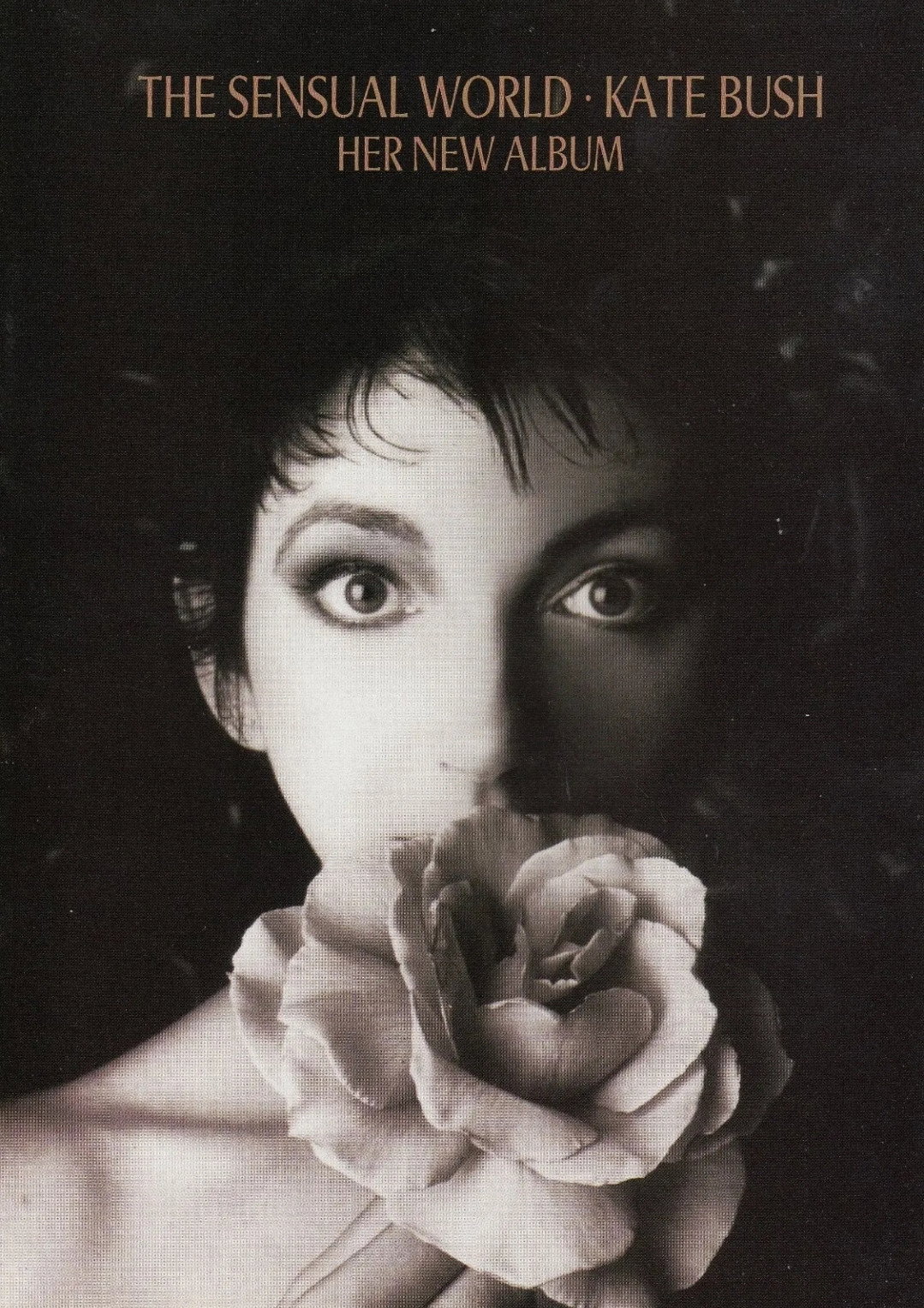 Kate Bush: The Sensual World - The Video