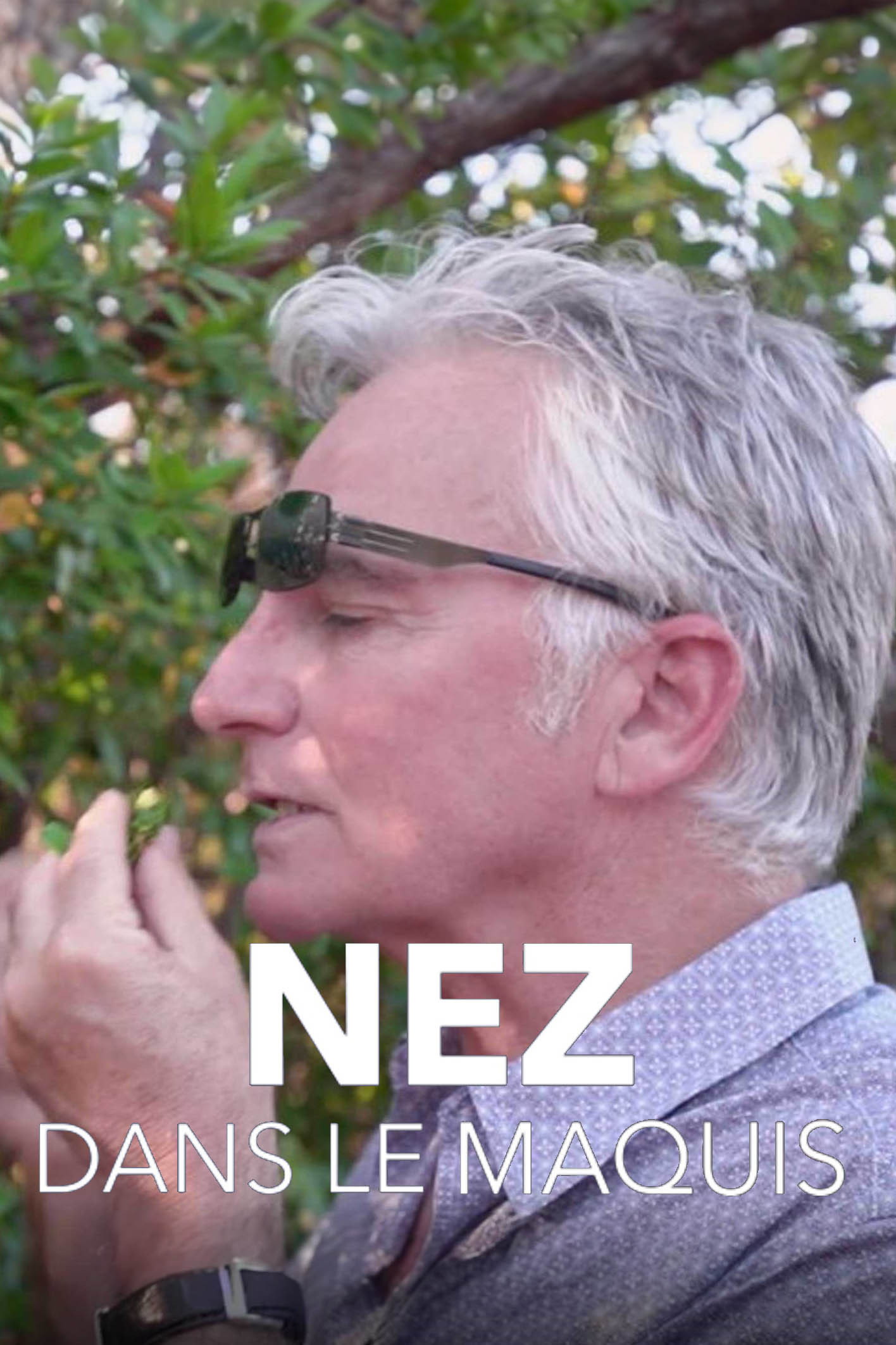 Nez dans le maquis