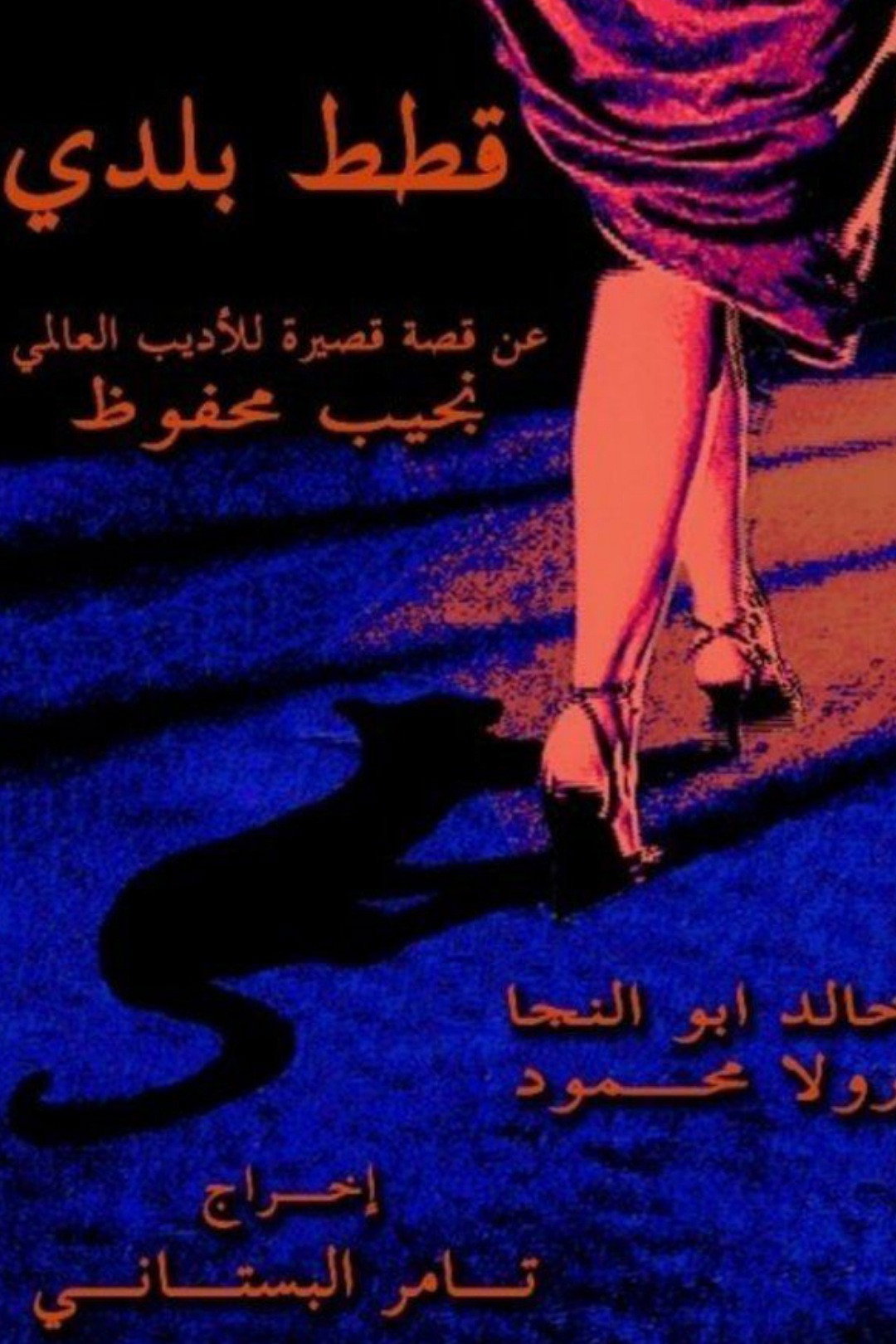Stray Cats
