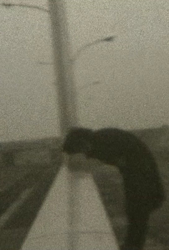 工場地帯
