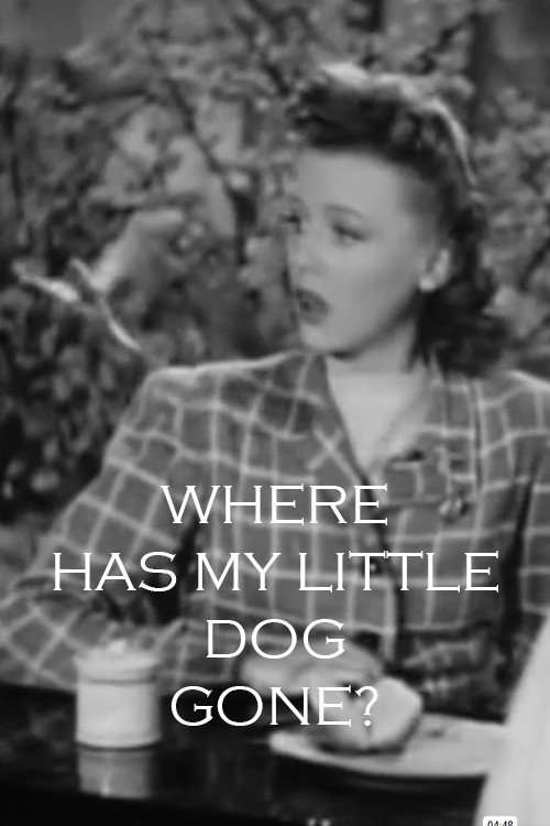 Where Has My Little Dog Gone