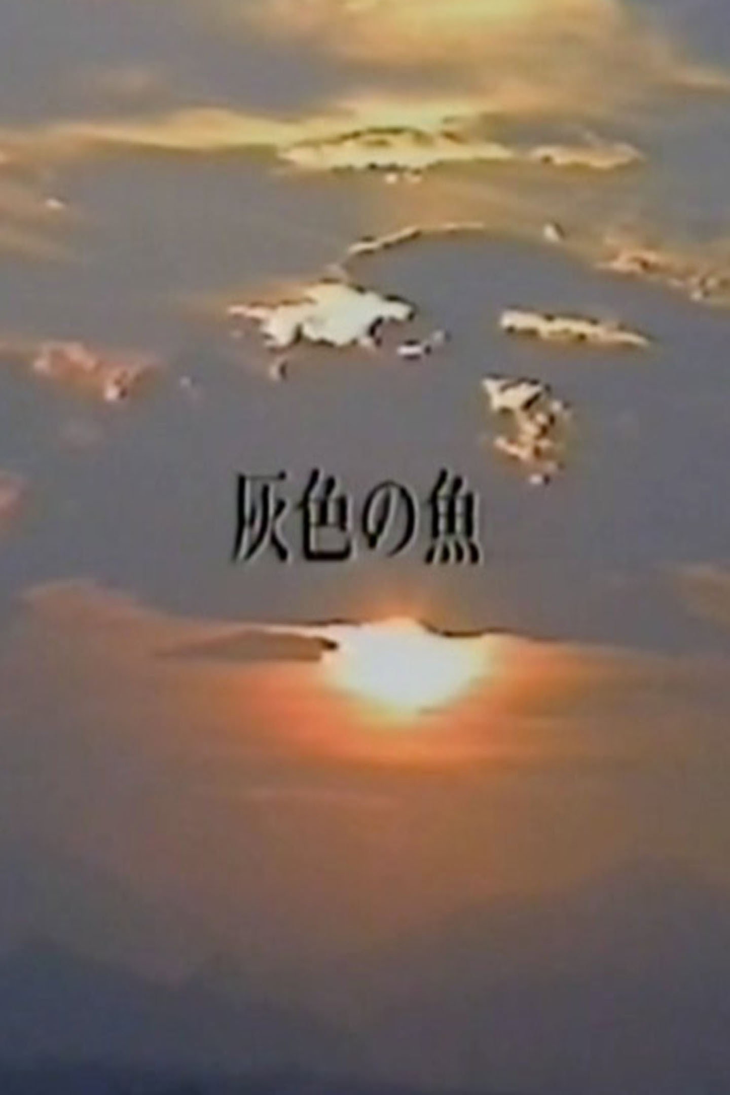 灰色の魚