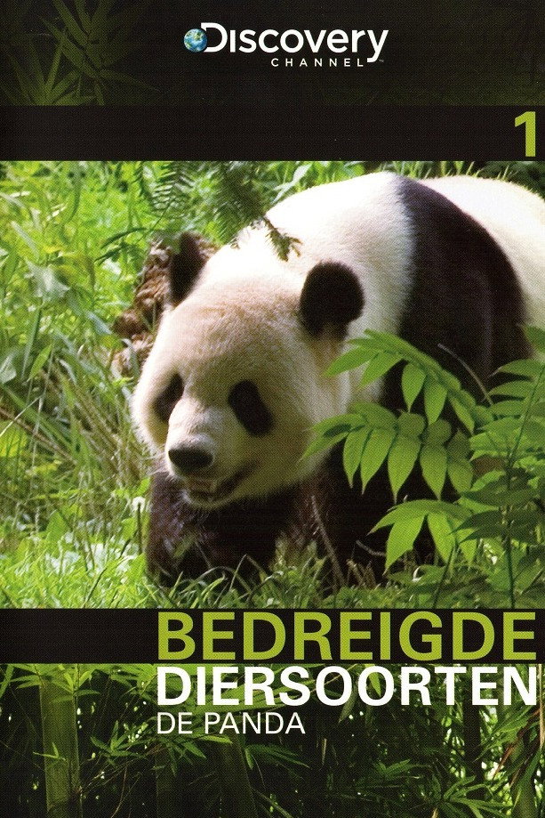 Bedreigde Diersoorten 01: De Panda