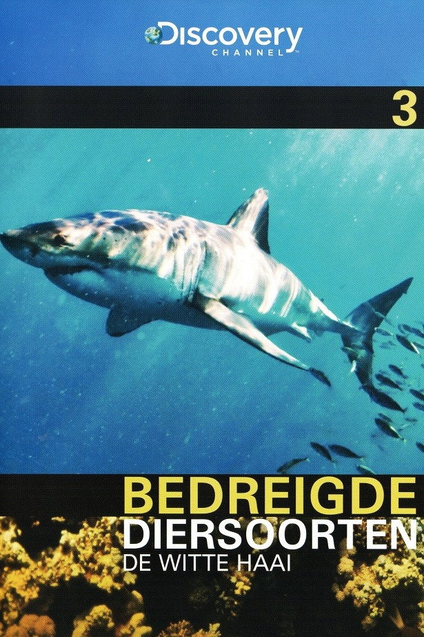Bedreigde Diersoorten 03: De Witte Haai