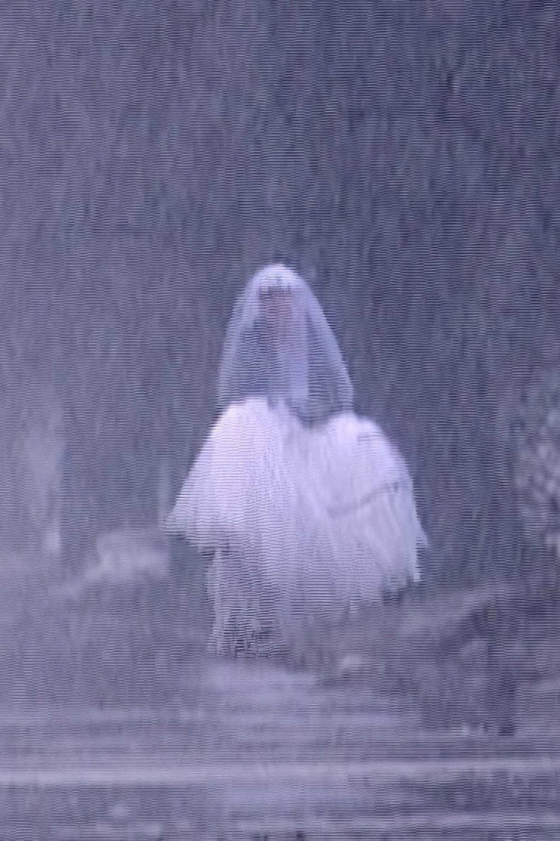 Eternal Bride