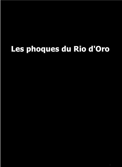 Les phoques du Rio d'Oro
