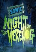 Sonic: Night of the Werehog