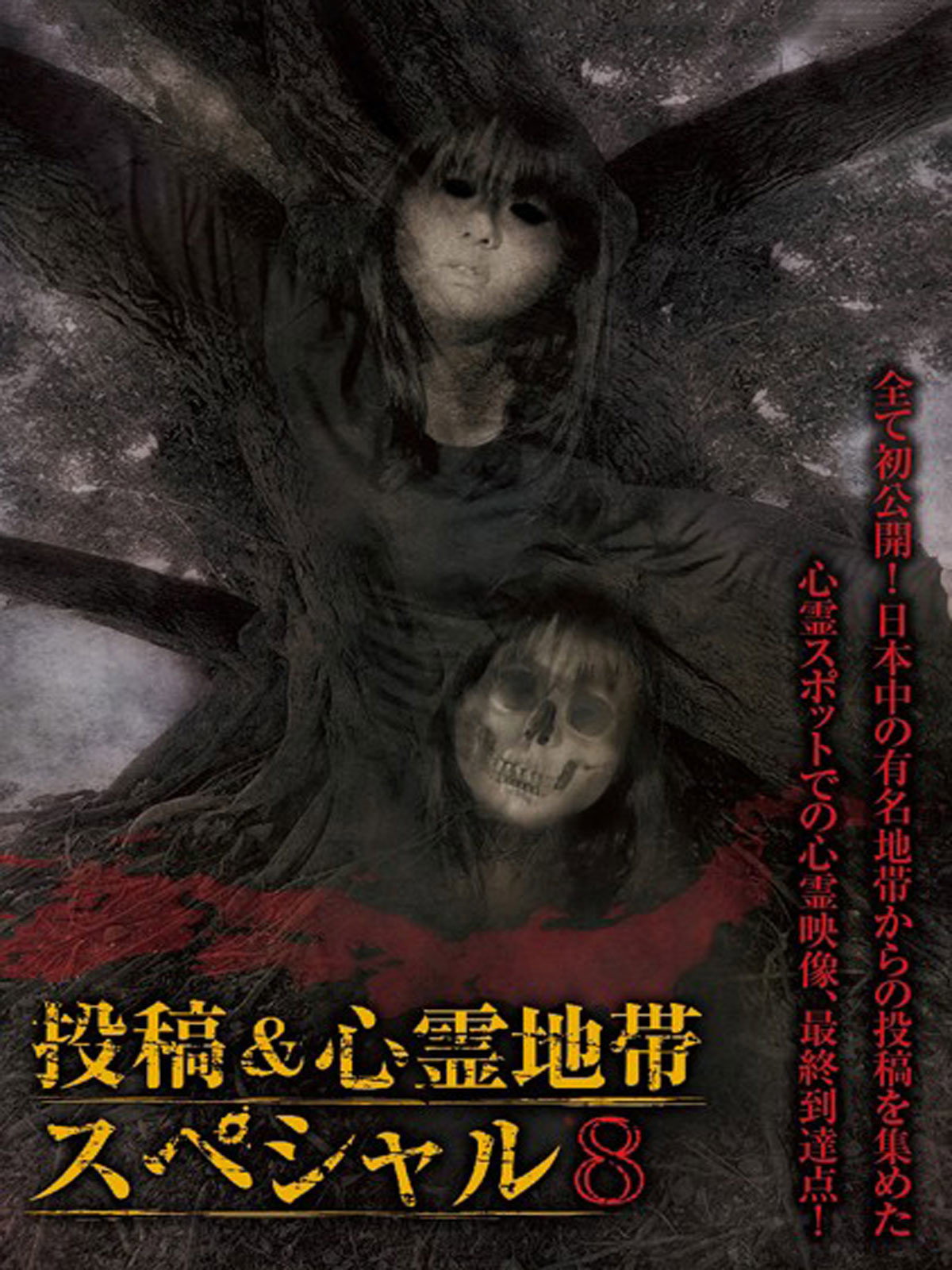 怨霊映像 特別篇 投稿＆心霊地帯スペシャル 8