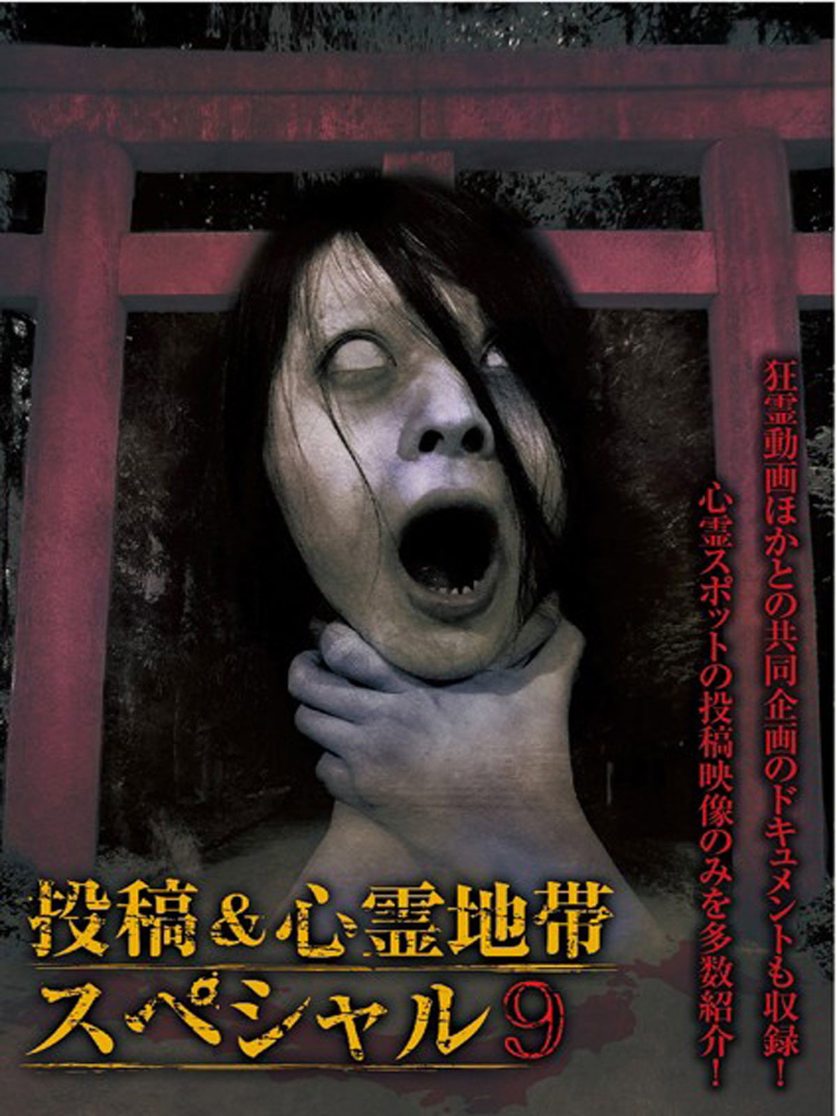 怨霊映像 特別篇 投稿＆心霊地帯スペシャル 9