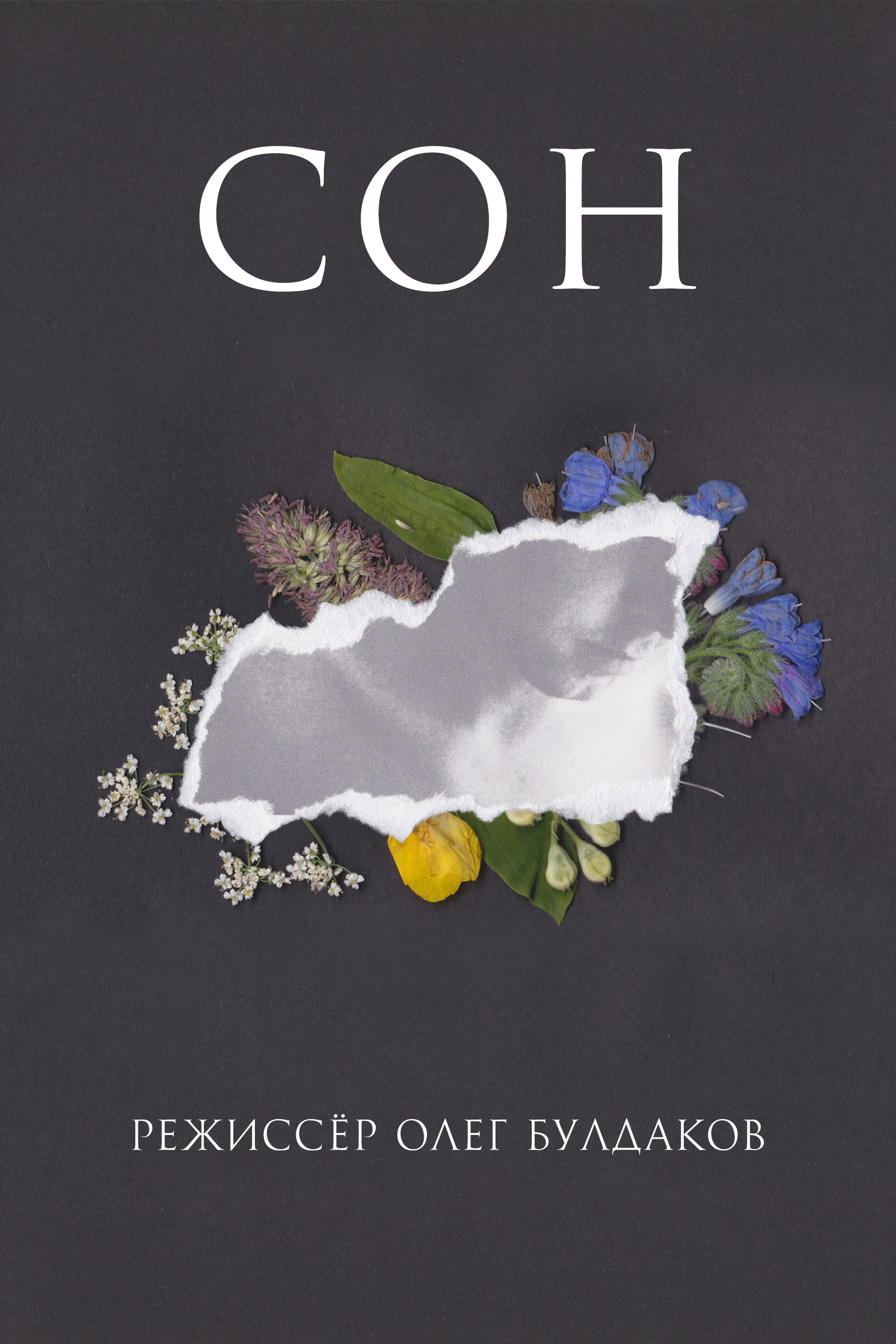 СОН