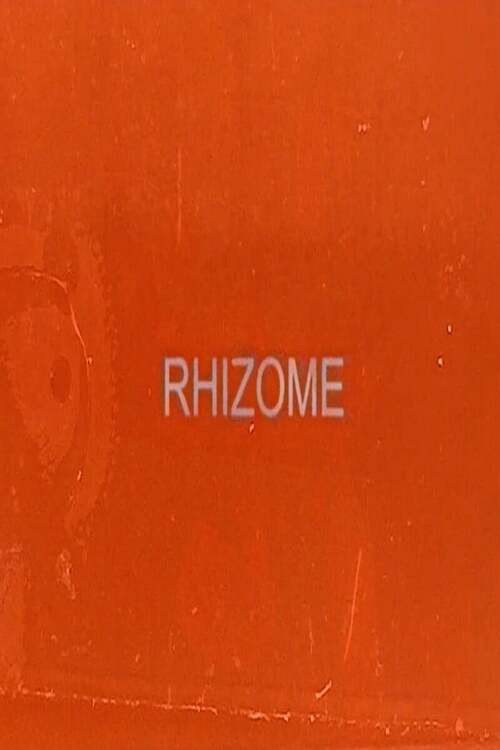 Rhizome