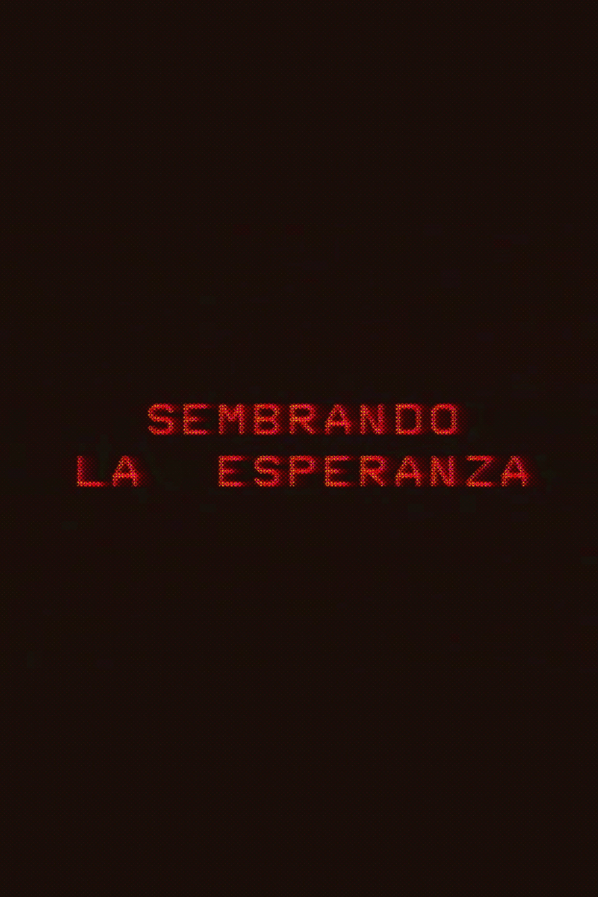 Sembrando la esperanza