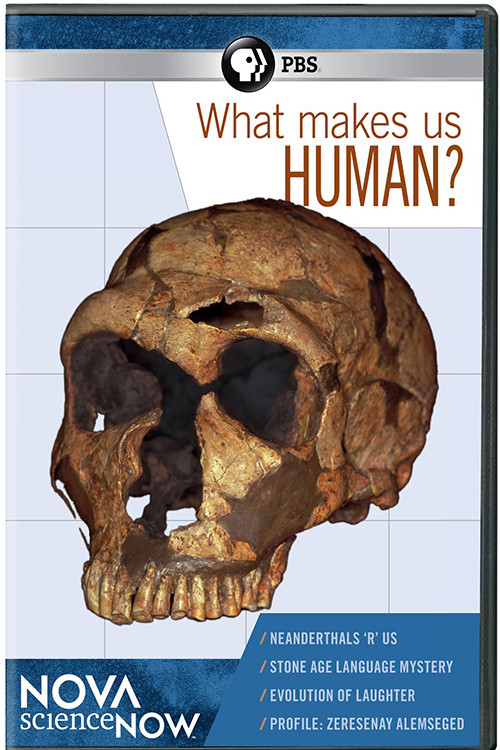 What Makes Us Human?