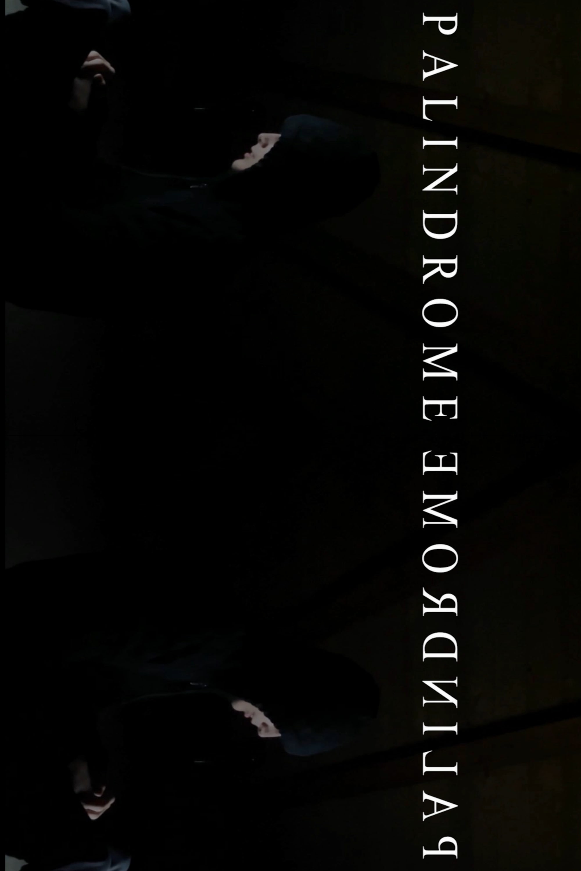 PalindromeemordnilaP