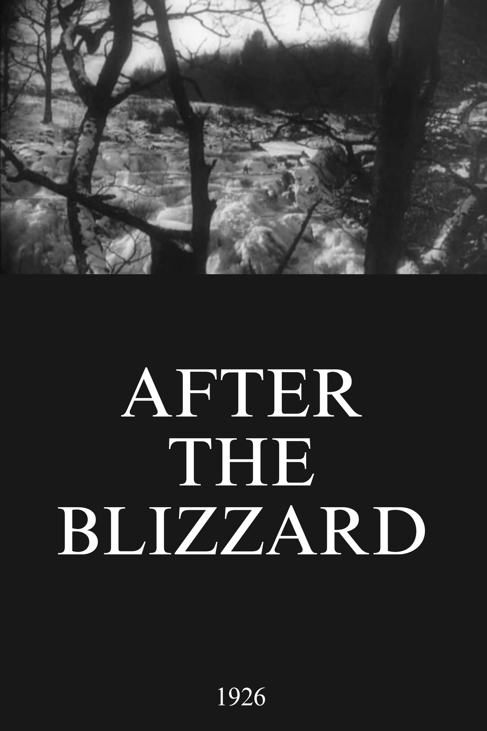 After the Blizzard