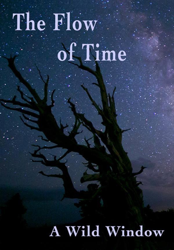 The Flow of Time