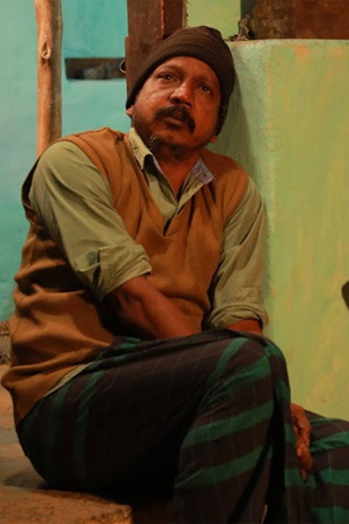 വലസൈ പറവകൾ