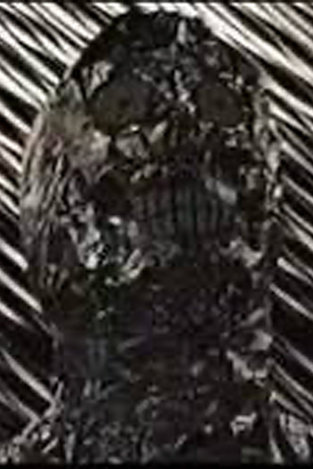 Roboshithead