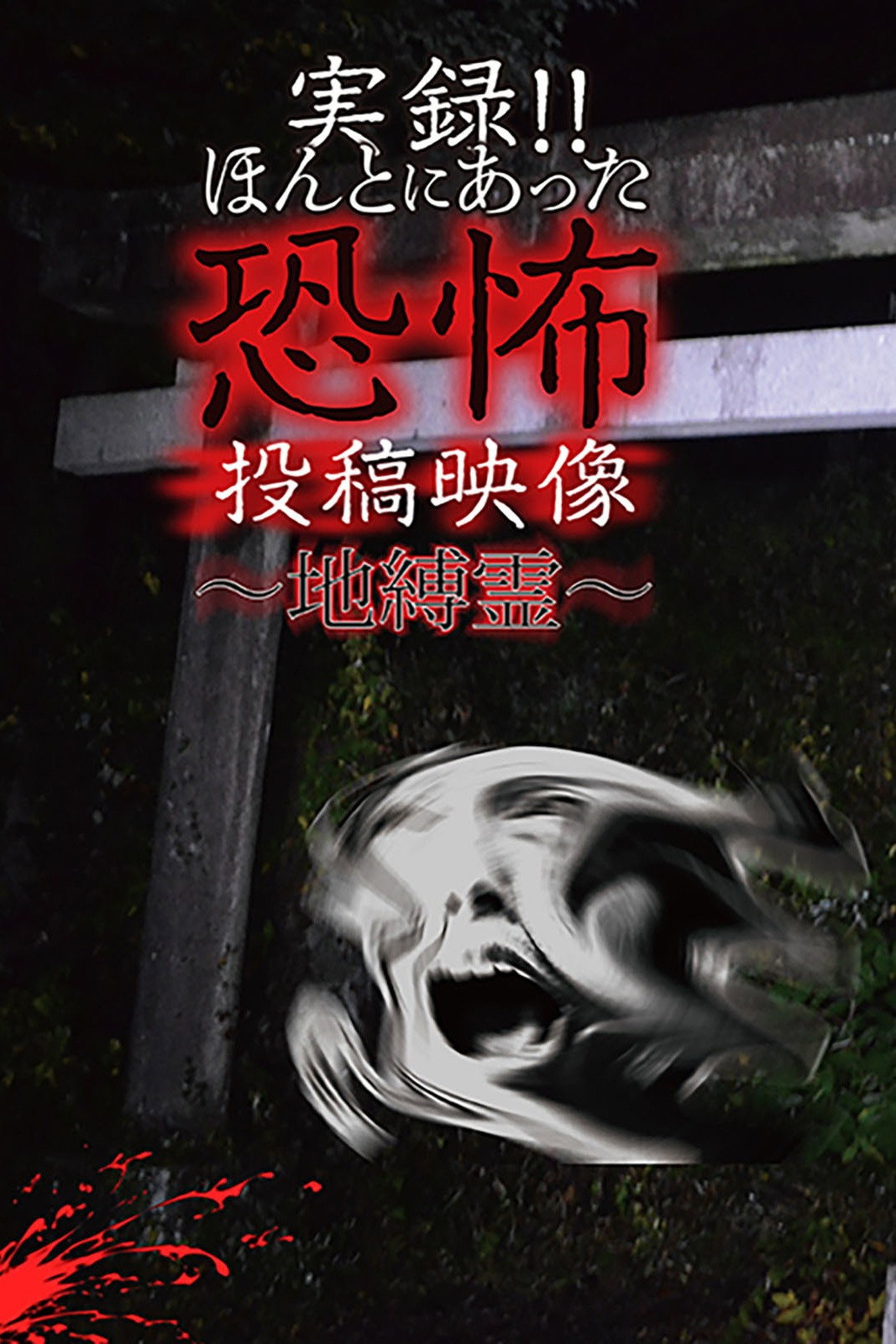 実録!!ほんとにあった恐怖の投稿映像－地縛霊－