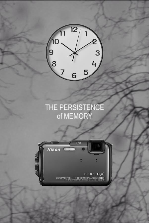 The Persistence of Memory