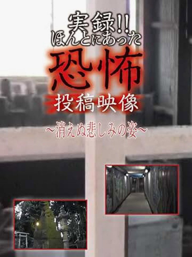 実録!!ほんとにあった恐怖の投稿映像 ～消えぬ悲しみの姿～