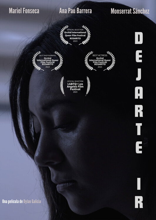Dejarte ir