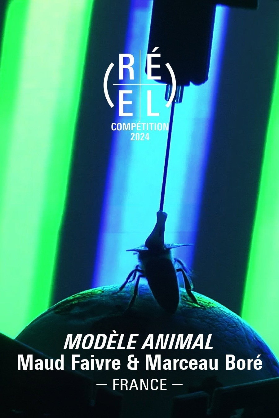 Modèle Animal