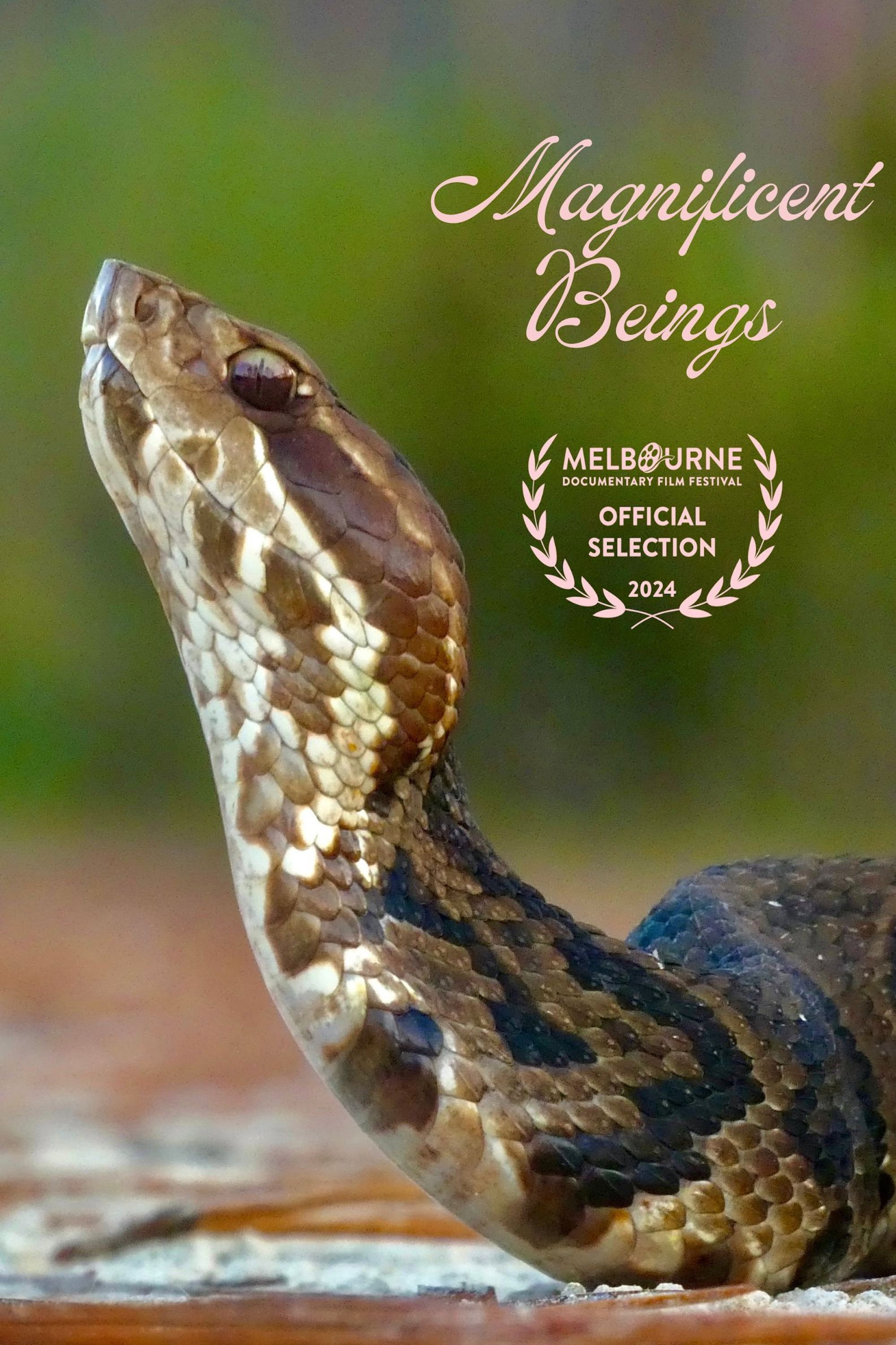 Magnificent Beings