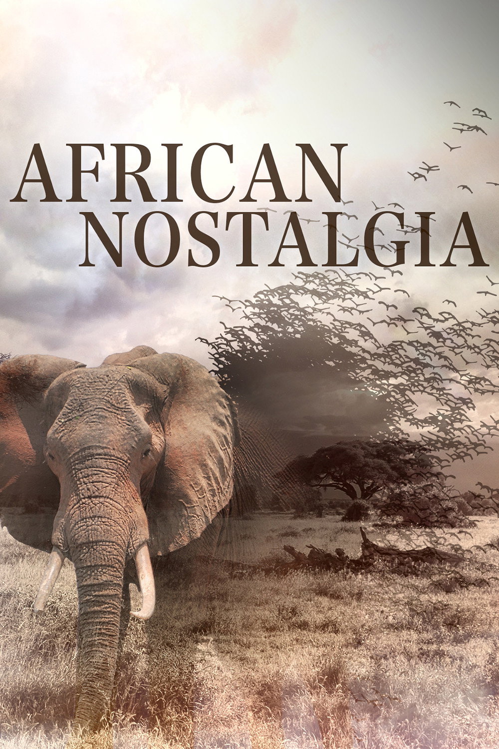 African Nostalgia
